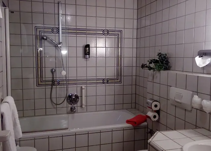 Hotel Weisses Ross 3*
